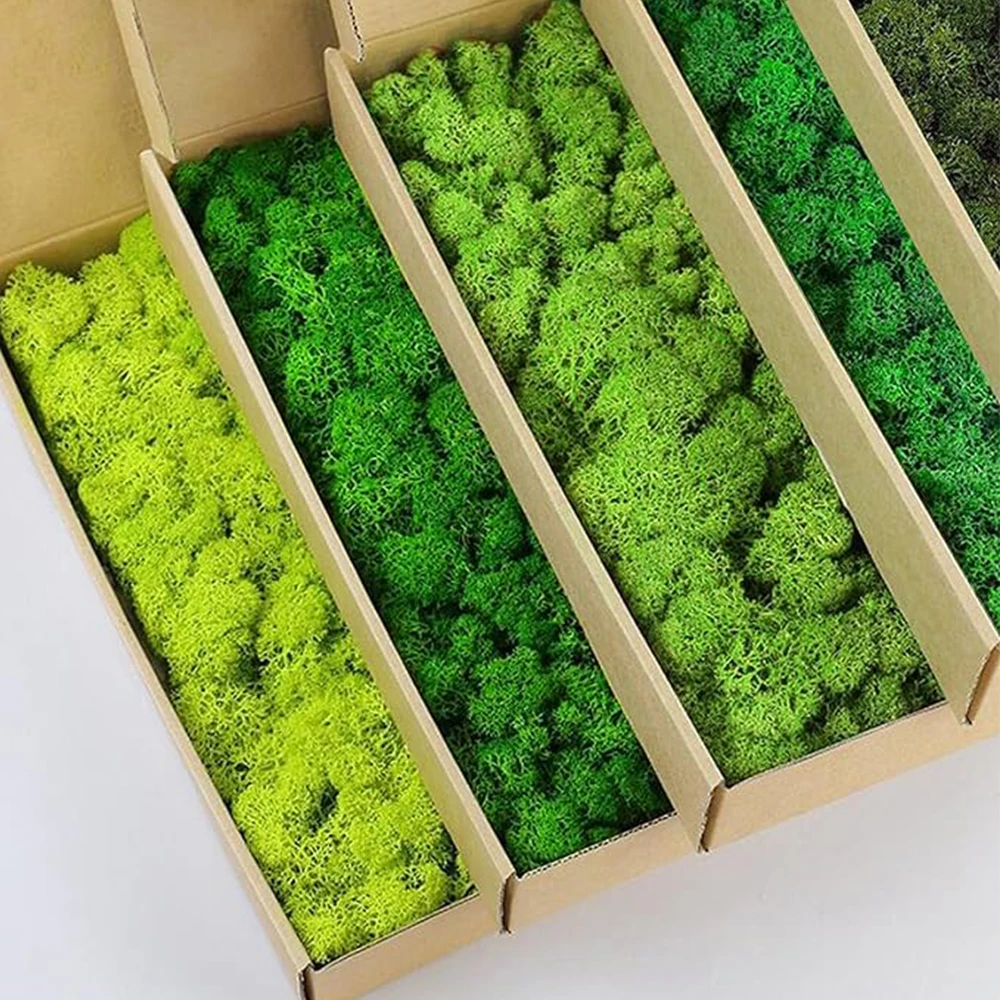 Terrarium Moss Art - 20-200g plantas verdes artificiais grama falsa