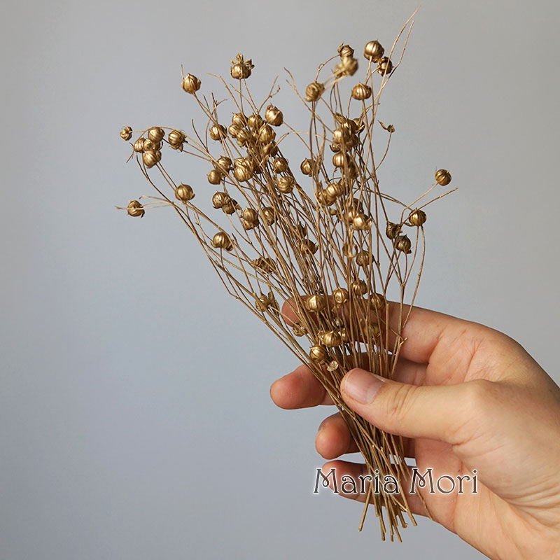 5g/Feijão de Linhaça Preservad - Dried Flower Bulk avaliação e preço