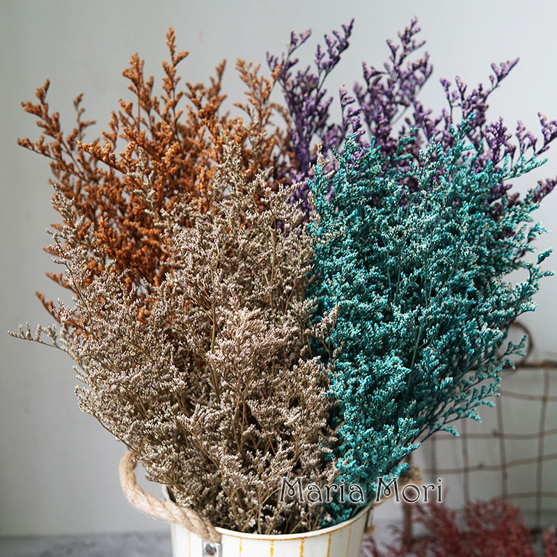 70g/Flor de Limonium Preservad - Dried Flower Bulk avaliação e preço