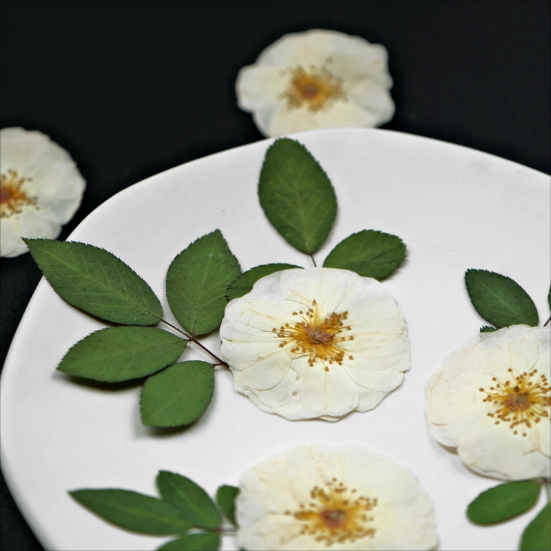 6 peças, 9 peças, rosa branca  - Resin Craft Ideas avaliação e preço