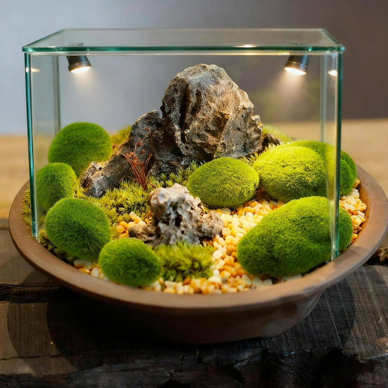 50/5 Peças de Pedras de Musgo  - Terrarium Moss Art avaliação e preço